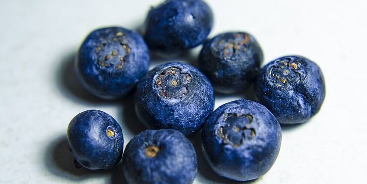 Blueberry ikuspegia berreskuratzeko